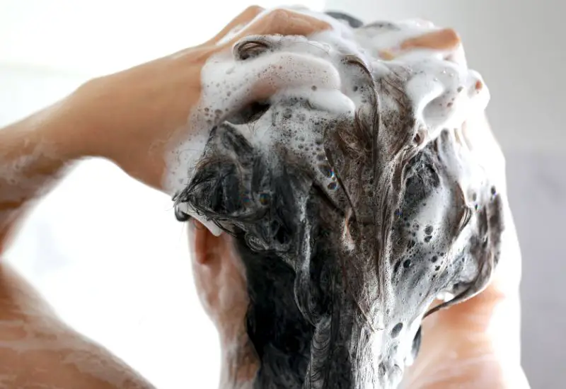 Applying shampoo on hair