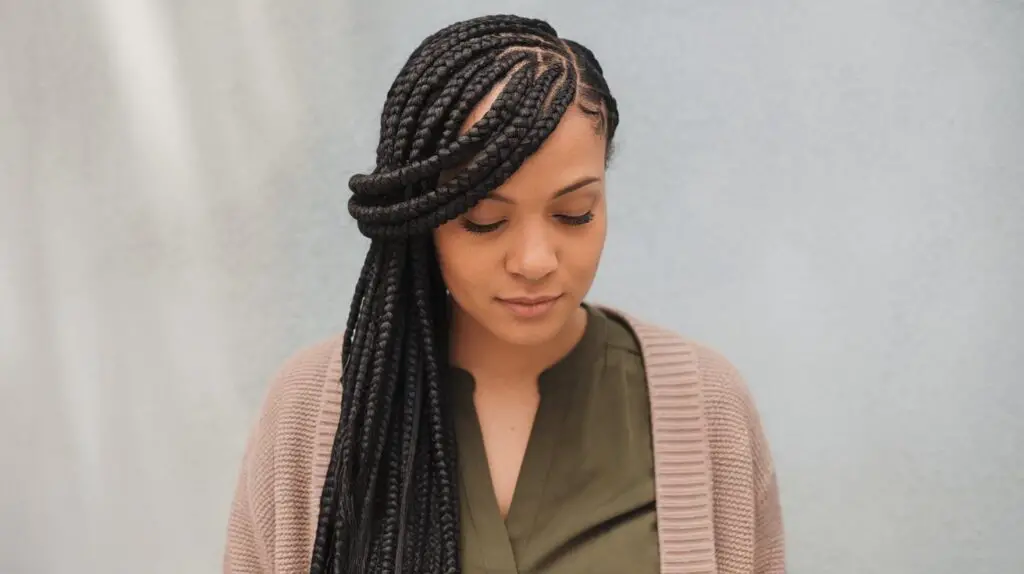 Fulani Braids Long Black Hair